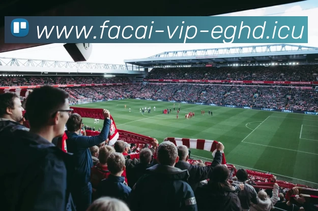 开云体育注册APP 封面图